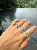 Anillo Mekong
